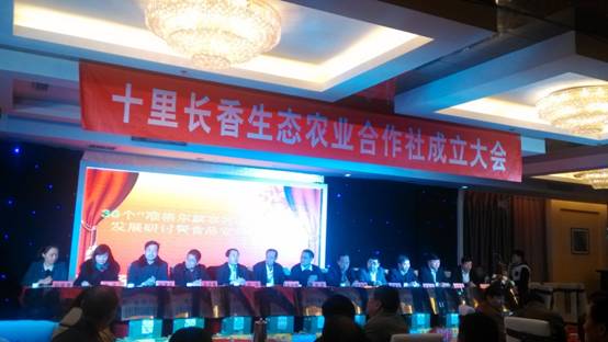 走過十里長川，拉開“十里長香”品牌的序幕