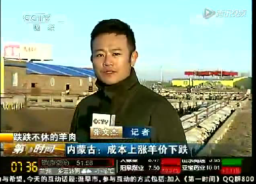 央視財經頻道報道---跌跌不休的羊肉