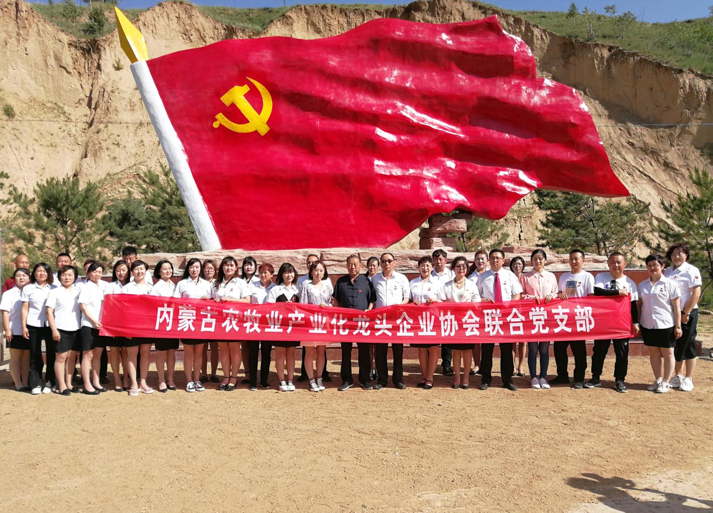 內蒙古農牧業(yè)產(chǎn)業(yè)化龍頭企業(yè)協(xié)會(huì )走進(jìn)石人灣村開(kāi)展“辦實(shí)事、解難題，送溫暖，傳黨恩”公益活動(dòng)